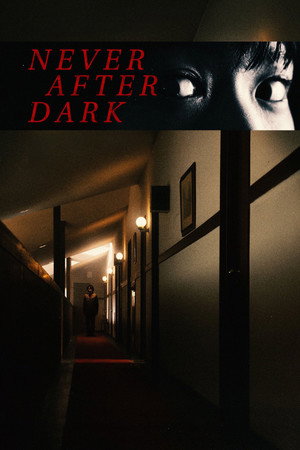 Never After Dark poszter