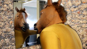HOOVED háttérkép