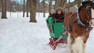 A Royal Christmas Crush háttérkép