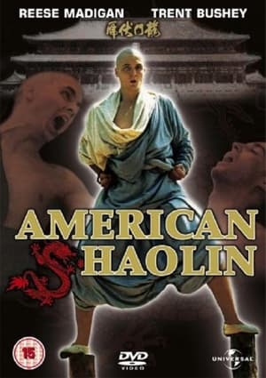 Az Amerikai Shaolin poszter