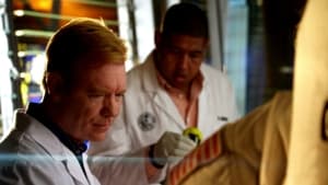 CSI: Miami-helyszínelők 8. évad Ep.15 Miami, van egy kis gondunk