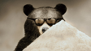 Cocaine Bear: The True Story háttérkép
