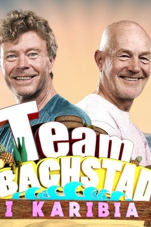 Team Bachstad poszter