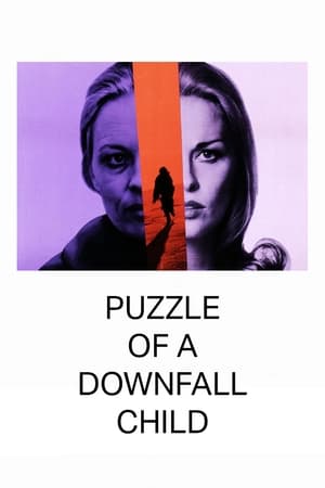 Puzzle of a Downfall Child poszter