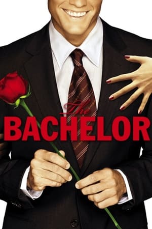 The Bachelor