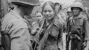 The Vietnam War kép