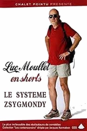 Le Système Zsigmondy poszter