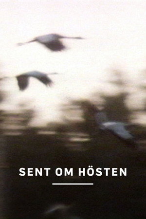 Sent om hösten poszter
