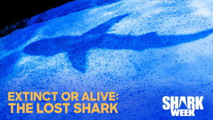 Extinct or Alive: The Lost Shark háttérkép