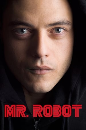 Mr. Robot poszter