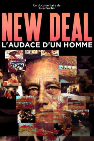 New Deal, l'audace d'un homme poszter