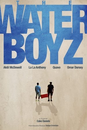 The Waterboyz poszter