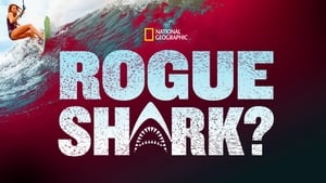 Rogue Shark háttérkép