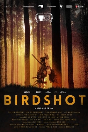 Birdshot poszter