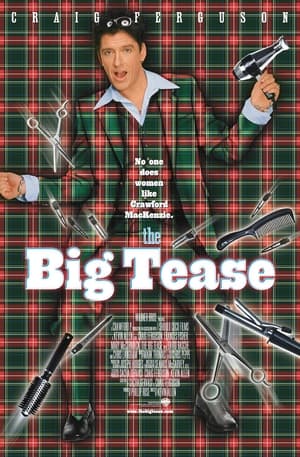 The Big Tease poszter