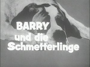 Alle Hunde lieben Theobald Season 1 Ep.6 6. epizód