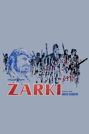 Žarki poszter