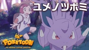 POKÉTOON: ユメノツボミ háttérkép