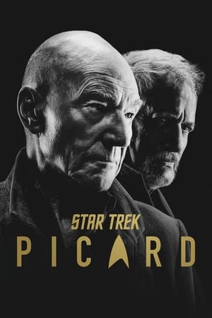 Star Trek: Picard poszter