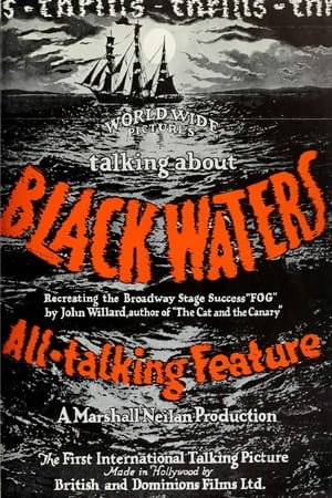 Black Waters poszter