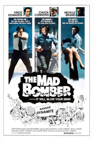 The Mad Bomber poszter