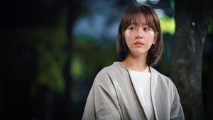 봄밤 kép