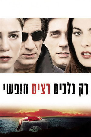 רק כלבים רצים חופשי poszter