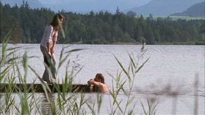 Utta Danella - Der Sommer des glücklichen Narren háttérkép