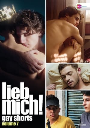 LIEB MICH! - Gay Shorts Volume 7 poszter