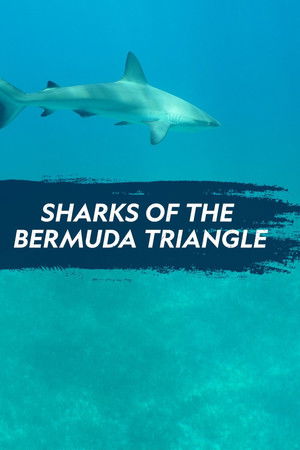 Sharks of the Bermuda Triangle poszter