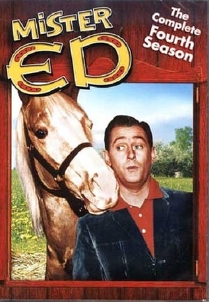 Mister Ed