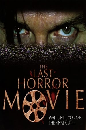 The Last Horror Movie poszter