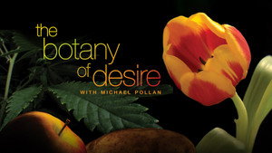 The Botany of Desire háttérkép