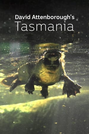 David Attenborough's Tasmania poszter