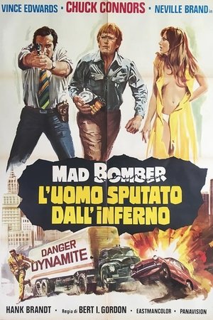 The Mad Bomber poszter