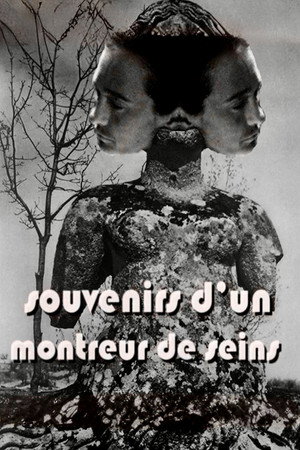 Souvenirs d'un montreur de seins poszter