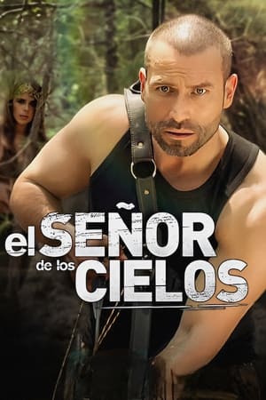 El señor de los cielos poszter