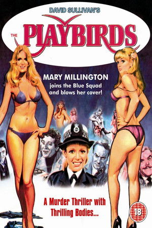 The Playbirds poszter