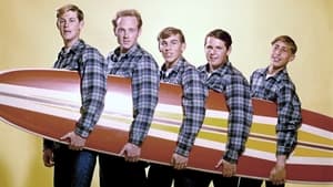 The Beach Boys - Live at Knebworth háttérkép