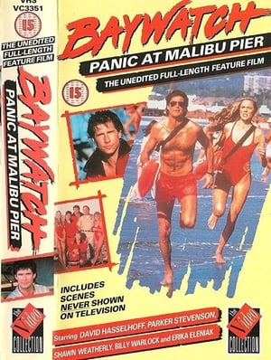 Baywatch: Panic at Malibu Pier poszter