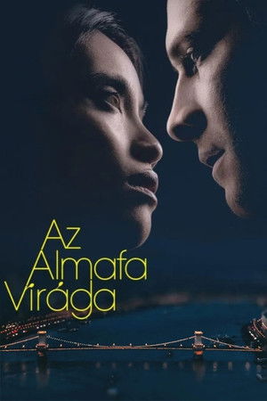 Az almafa virága poszter