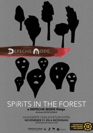 Depeche Mode: Spirits in the Forest