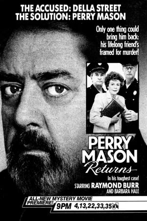 Perry Mason Returns poszter