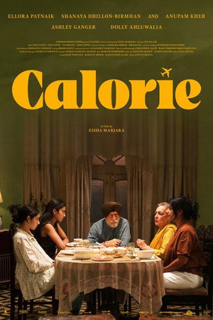 Calorie poszter