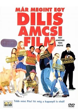 Már megint egy dilis amcsi film