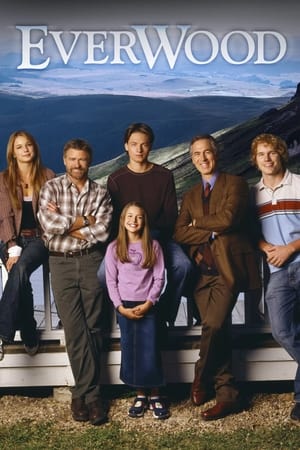 Everwood poszter