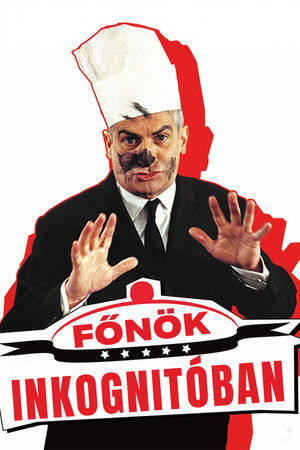 Főnök inkognitóban