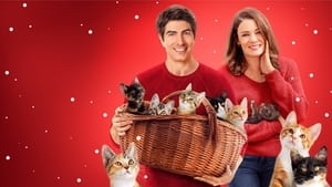 The Nine Kittens of Christmas háttérkép