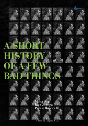 A Short History of a Few Bad Things poszter