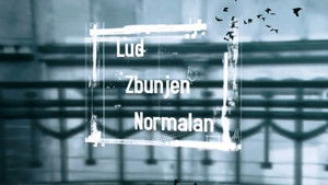 Lud, zbunjen, normalan kép